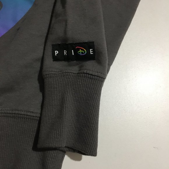 Disney Pride 2022 Pixar Animated Studios Adult XS Gray Sweatshirt - Picture 2 of 11
